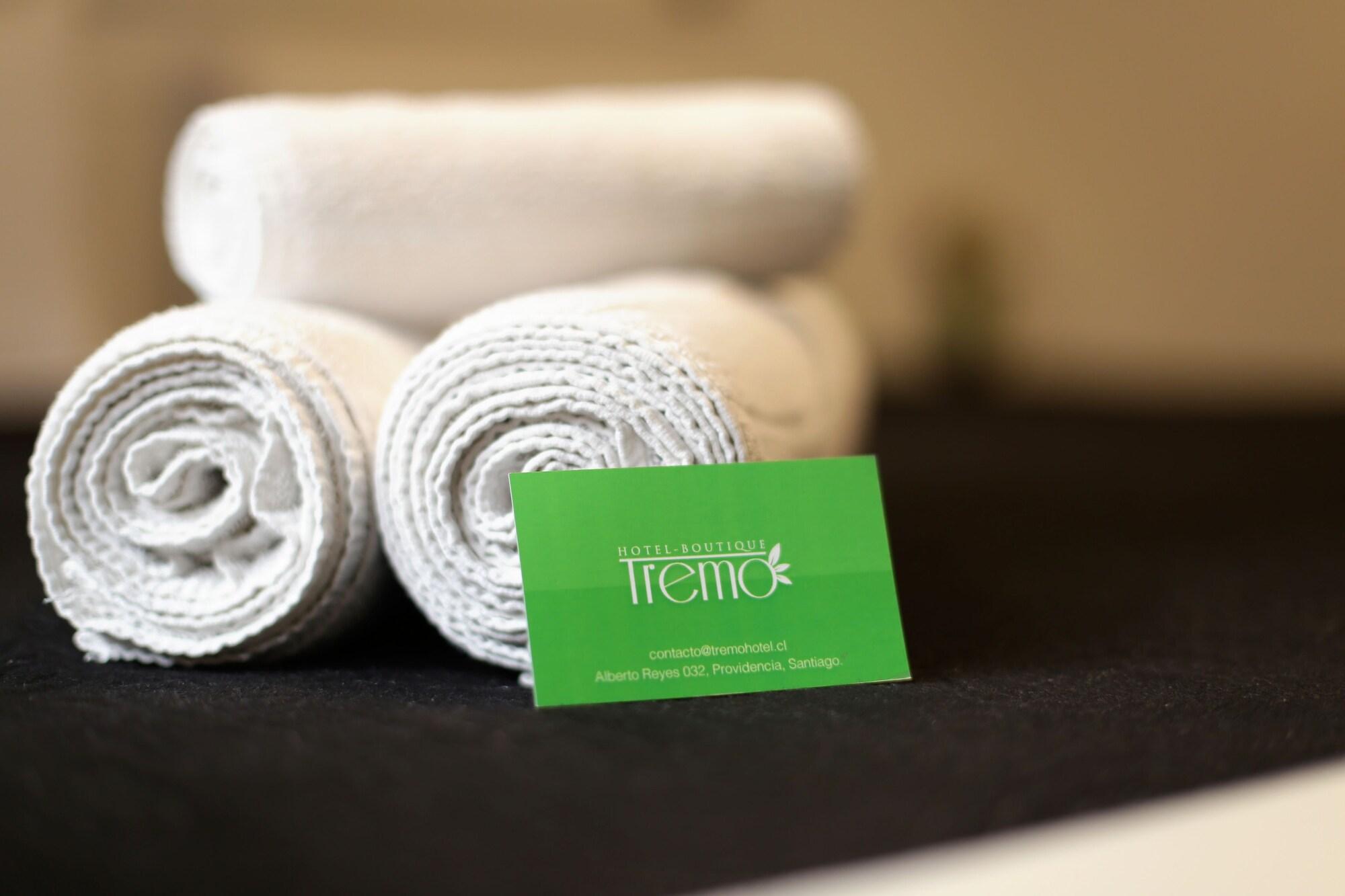 Hotel Boutique Tremo Bustamante 圣地亚哥 外观 照片